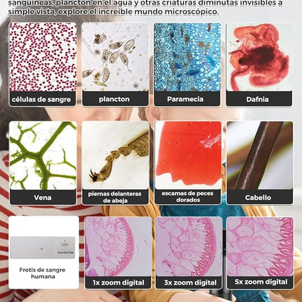 Digitale Microscoop - Foto en Video - 800x – Draagbaar en Eenvoudig - Inclusief Geheugenkaart