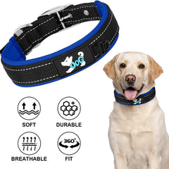 Collection image for: Leashes and collars